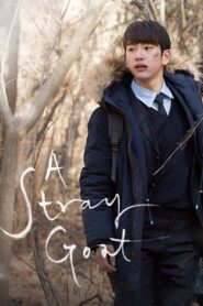 A Stray Goat 2017 on netflix