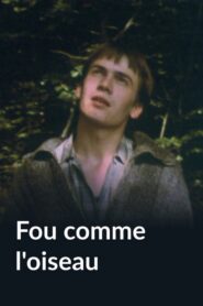 Fou comme l’oiseau 1983 on netflix