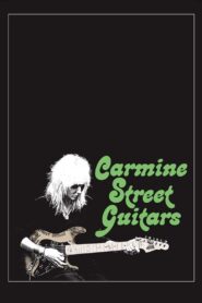 Carmine Street Guitars 2018 on netflix