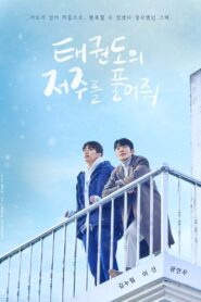 Let Free the Curse of Taekwondo 2024 on netflix