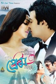Purnodoirgho Prem Kahini 2013 on netflix