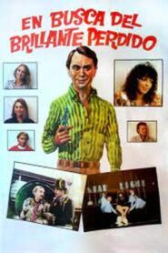 En busca del brillante perdido 1986 on netflix