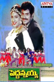 Peddannayya 1997 on netflix