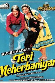 Teri Meherbaniyan 1985 on netflix