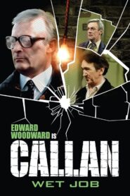 Wet Job 1981 on netflix