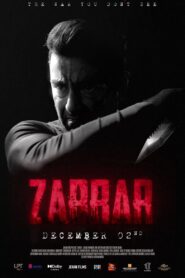 Zarrar 2022 on netflix