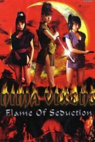 Ninja Vixens: Flame of Seduction 2002 on netflix