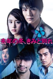 Last Winter, We Parted 2018 on netflix