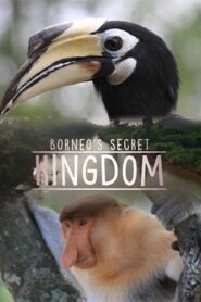 Borneo’s Secret Kingdom 2017 on netflix