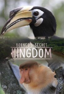 Borneo’s Secret Kingdom 2017 on netflix