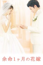 April Bride 2009 on netflix