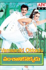 Vamsanikokkadu 1996 on netflix