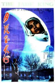 The Jade King 1993 on netflix