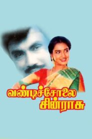 Vandicholai Chinraasu 1994 on netflix
