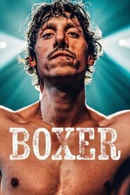 Boxer 2024 on netflix