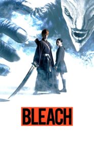 Bleach 2018 on netflix