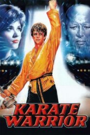 Karate Warrior 1987 on netflix