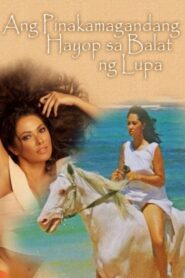 Ang Pinakamagandang Hayop sa Balat ng Lupa 1996 on netflix