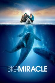 Big Miracle 2012 on netflix