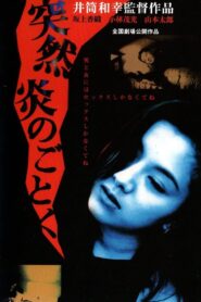 Tsutsumi honoo no gotoku 1994 on netflix
