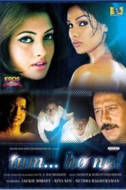 Tum… Ho Na! 2005 on netflix