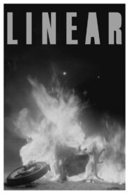 Linear 2009 on netflix