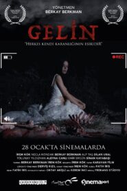 Gelin 2022 on netflix