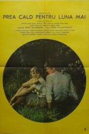 Prea cald pentru luna mai 1984 on netflix
