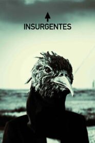 Steven Wilson – Insurgentes 2009 on netflix