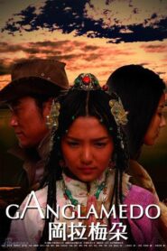 Snow Lotus 2008 on netflix