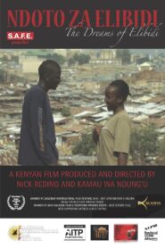 The Dreams of Elibidi 2010 on netflix