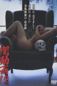 Tokyo Videos of Horror 12 2015 on netflix