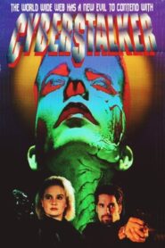 Cyberstalker 1996 on netflix