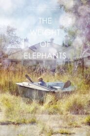 The Weight of Elephants 2013 on netflix