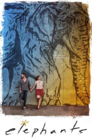 Elephants 2018 on netflix