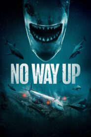 No Way Up 2024 on netflix