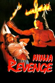 Ninja Vengeance 1993 on netflix