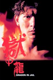 Dragon in Jail 1990 on netflix