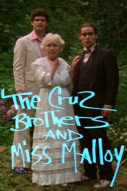 The Cruz Brothers and Miss Malloy 1980 on netflix