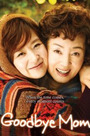 Goodbye Mom 2009 on netflix