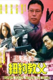 Raging Youth: Who’s the Boss 1999 on netflix
