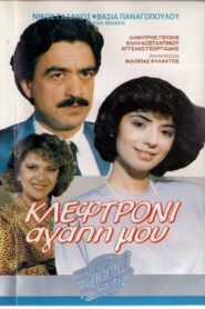 Κλεφτρόνι αγάπη μου 1987 on netflix