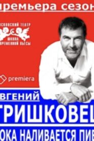 Evgeniy Grishkovets: While the Beer is Being Poured 2016 on netflix