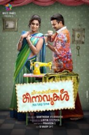 Chirakodinja Kinavukal 2015 on netflix