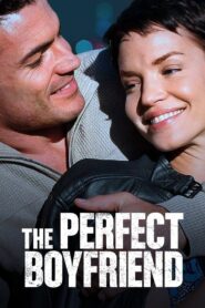 The Perfect Boyfriend 2013 on netflix