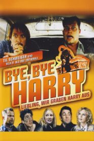 Bye, Bye Harry 2006 on netflix