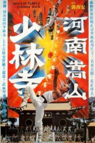 Shaolin Temple Strikes Back 1981 on netflix