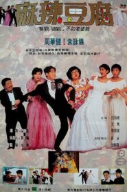Just Married 1995 on netflix