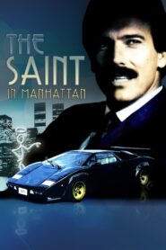 The Saint in Manhattan 1987 on netflix