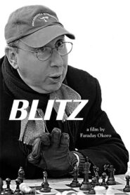 Blitz 2015 on netflix